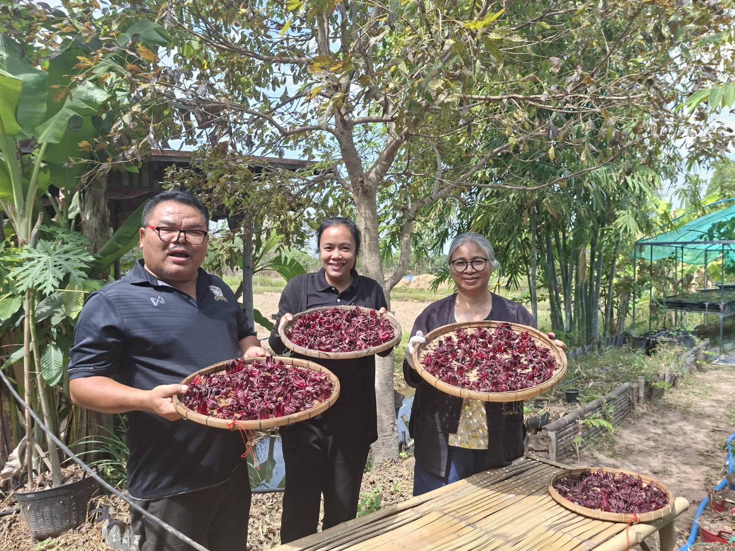 CDD MUEANG : GROWTH TEAM PLUS + MUEANG BURIRAM 📢 จังหวัดบุรีรัมย์ -สพอ.เมืองบุรีรัมย์ ติดตามและสนับสนุนครัวเรือนโคกหนองนา แปลงบ้านสวายสอ หมู่ที่ 7 ตำบลสะแกโพรง